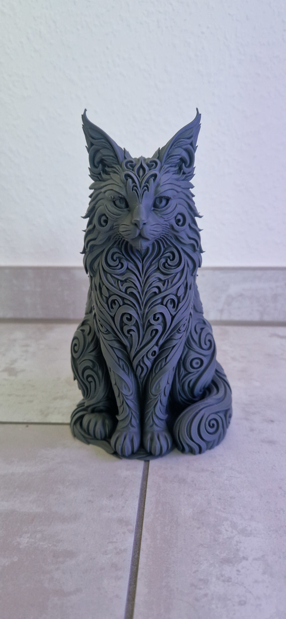 Kot Maine Coon