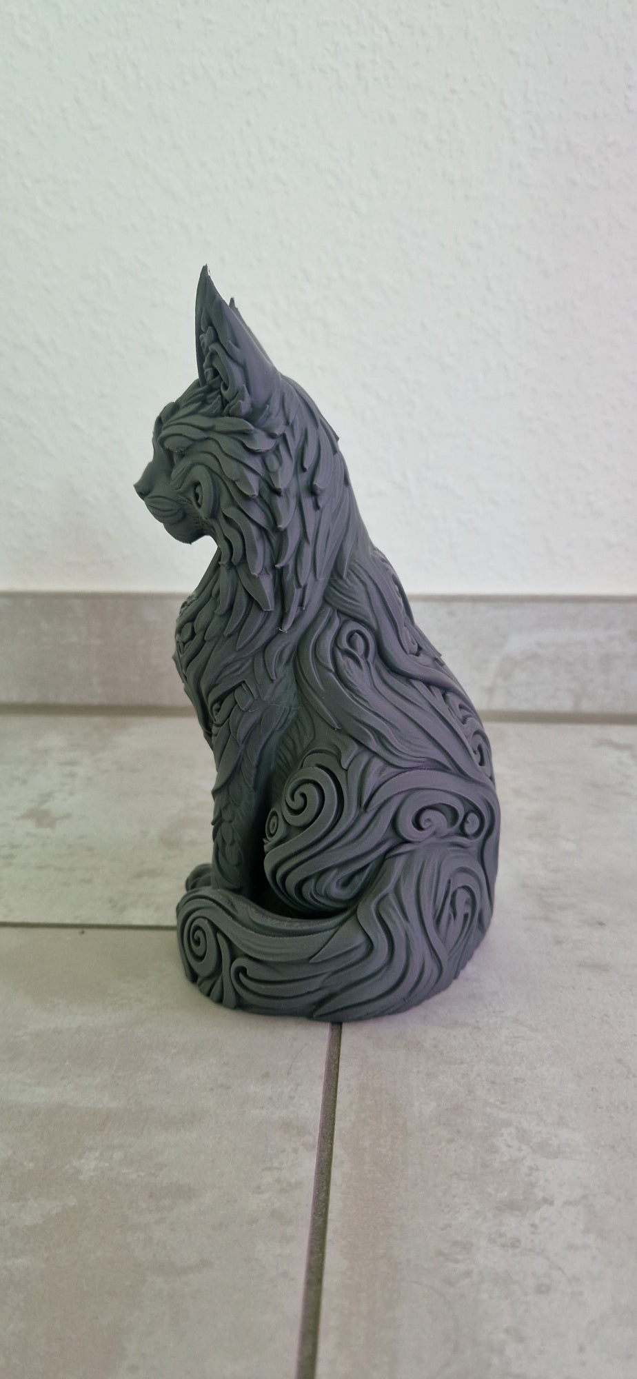 Kot Maine Coon