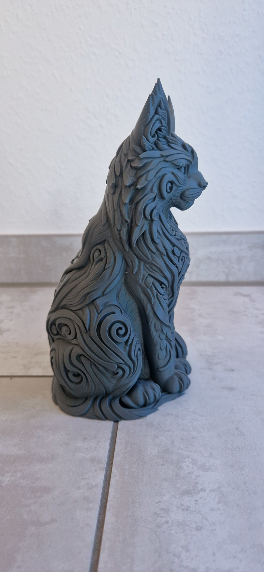Kot Maine Coon